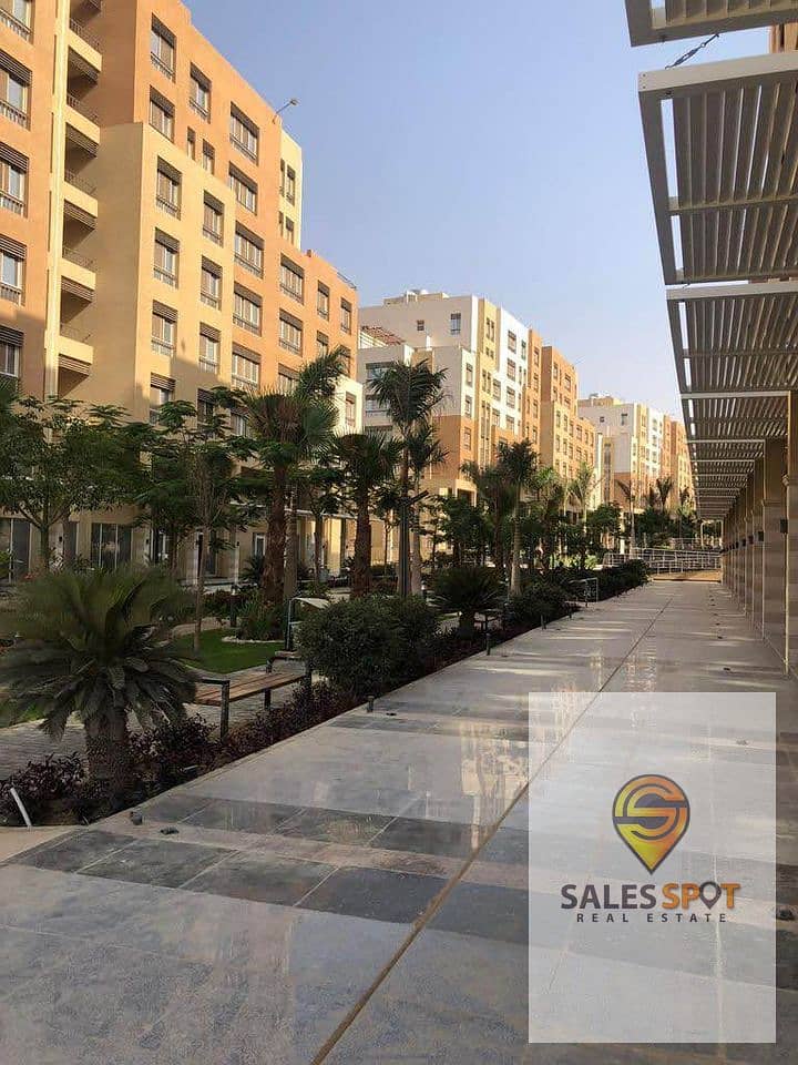 10 390738090_6878616672215479_7474709625566300944_n. jpg