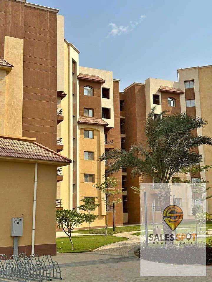 13 418225973_343226758591658_6401785010786020824_n. jpg