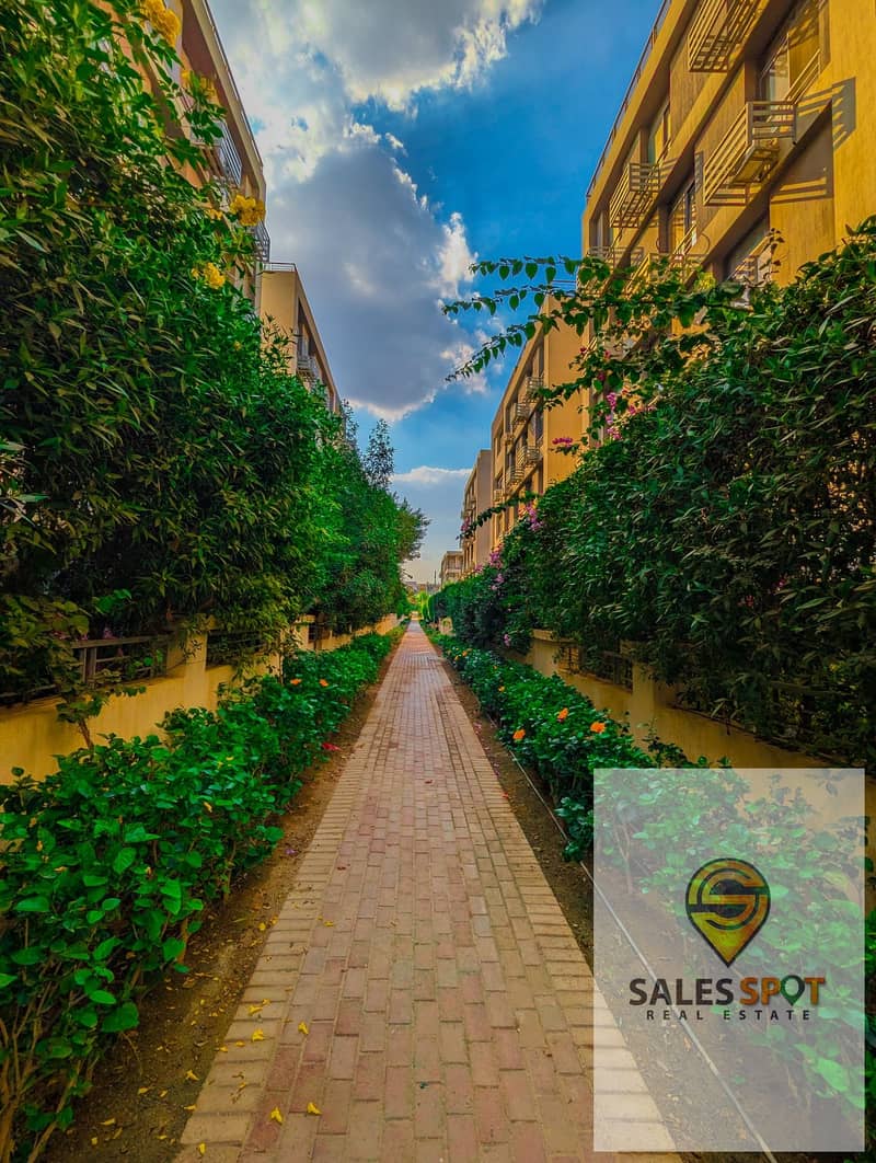 4 465973336_2635788673274081_5631858167894591086_n. jpg