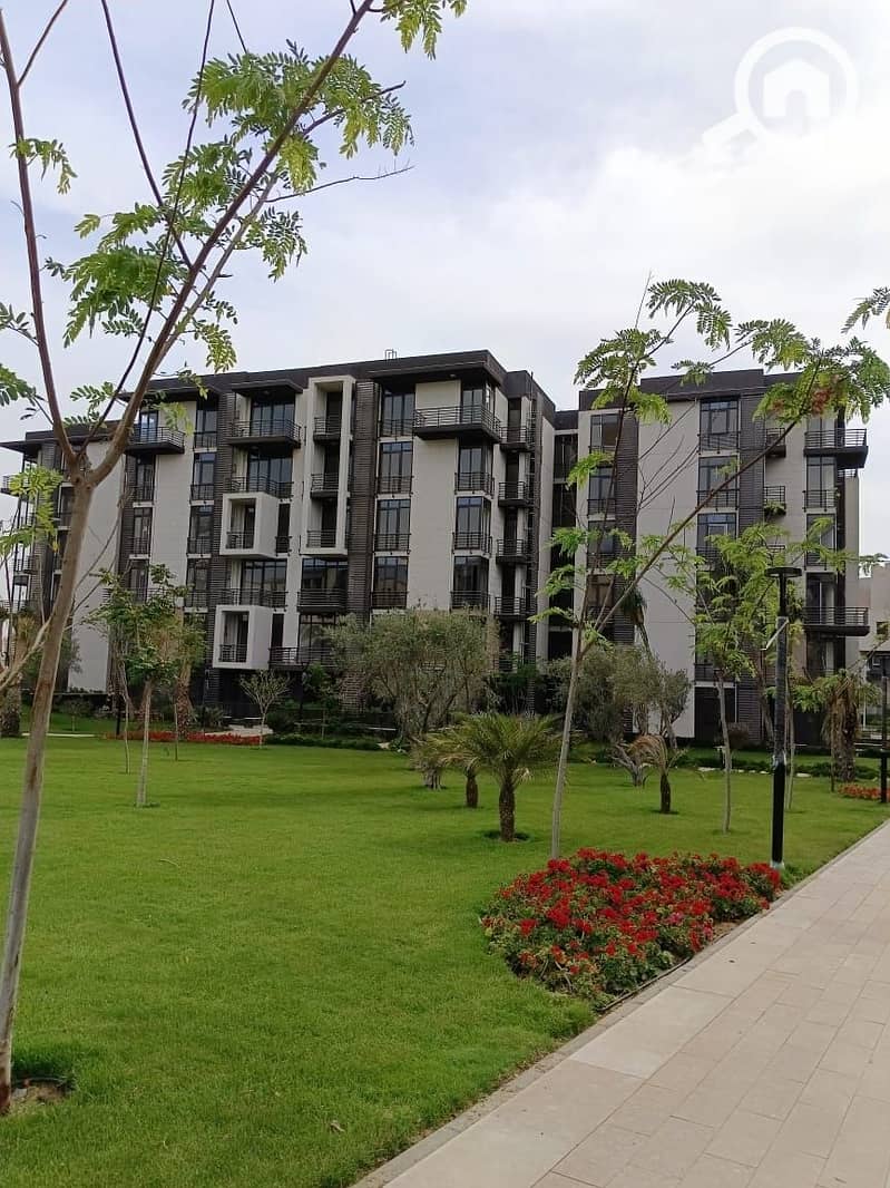 7 405384996_1449860282225457_5177682288221329964_n. jpg