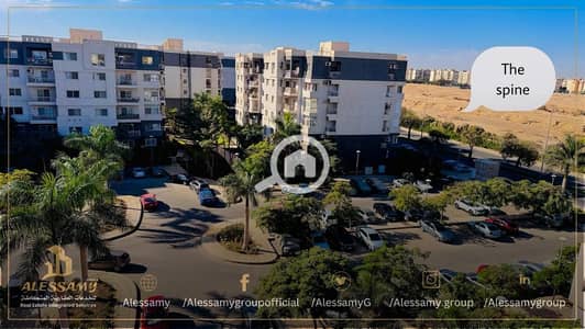 شقة 3 غرف نوم للبيع في مدينتي، القاهرة - WhatsApp Image 2025-12-05 at 10.26. 21 AM. jpeg