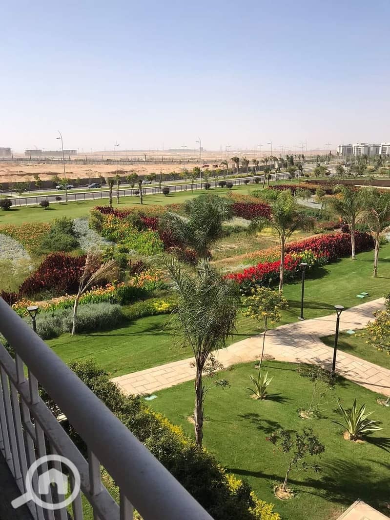 4 418939982_833447708794295_1683910859593479092_n. jpg