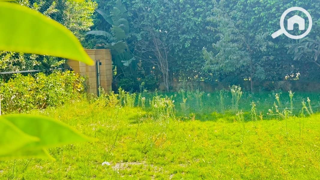 3 WhatsApp Image 2026-01-01 at 2.01. 05 PM. jpeg