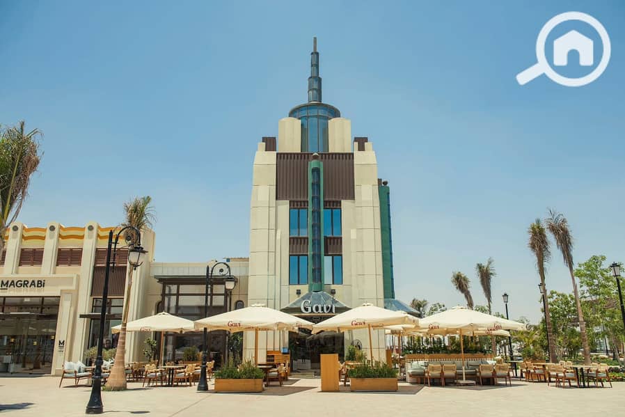 5 WhatsApp Image 2024-12-05 at 12.51. 07 PM. jpeg