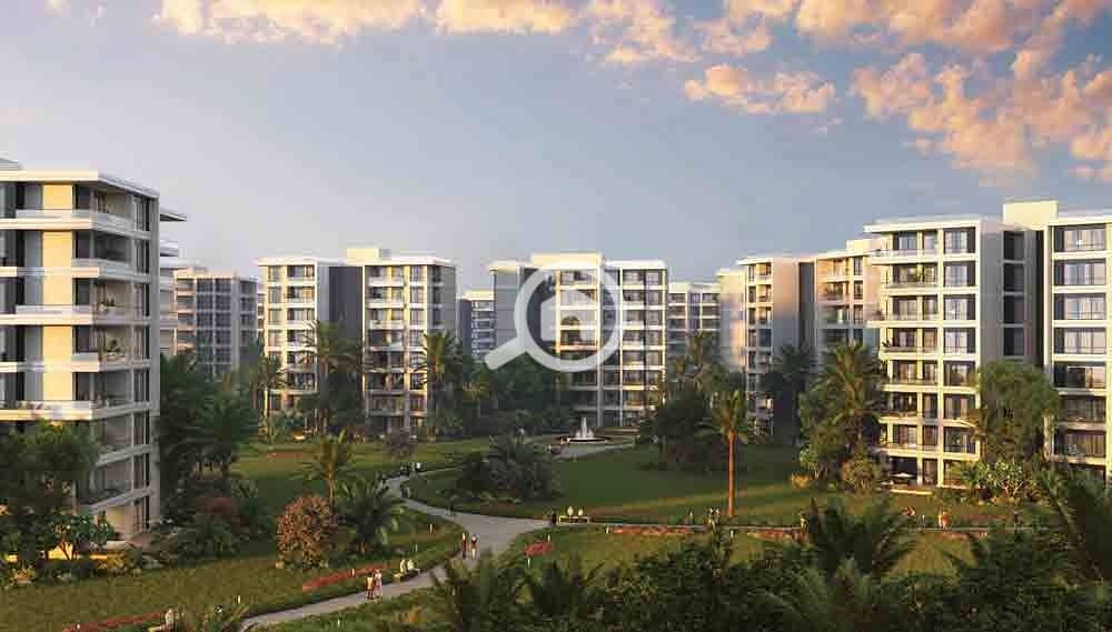 2 WhatsApp Image 2024-09-26 at 4.17. 24 PM (4) - Copy. jpeg