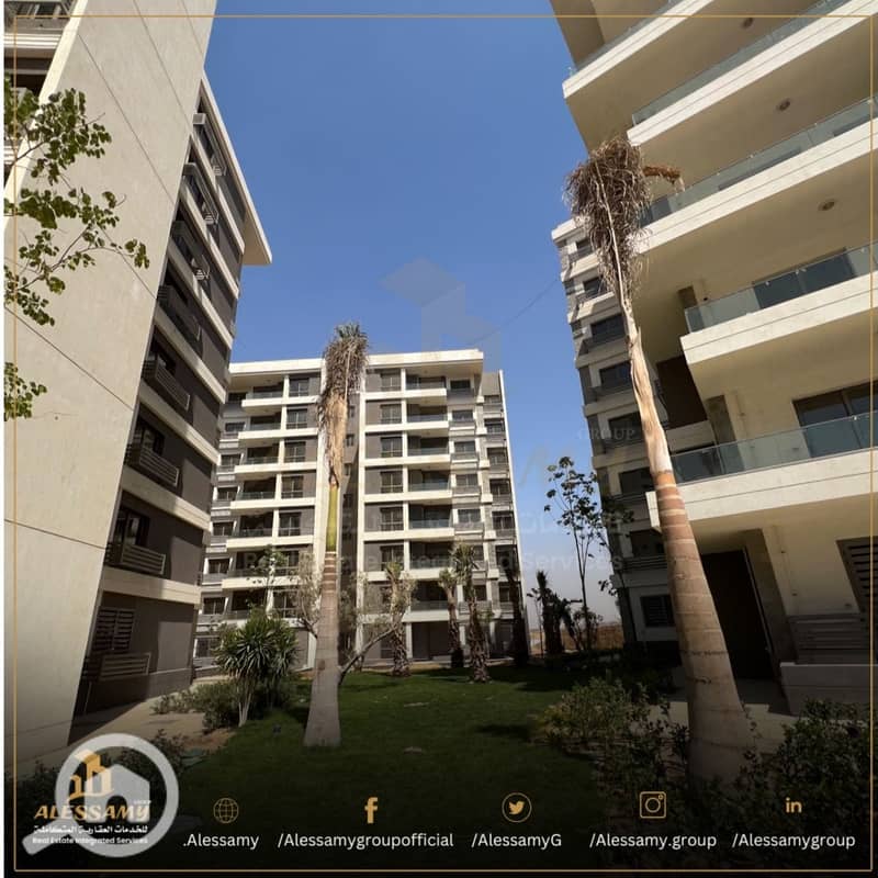 5 WhatsApp Image 2025-03-05 at 15.49. 04 - Copy. jpeg