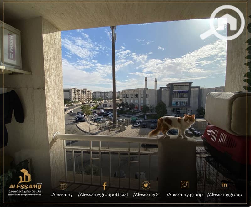 6 WhatsApp Image 2025-12-31 at 5.02. 16 PM. jpeg