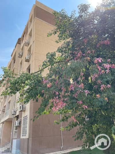 2 Bedroom Flat for Rent in Madinaty, Cairo - WhatsApp Image 2025-12-21 at 1.35. 28 PM. jpeg