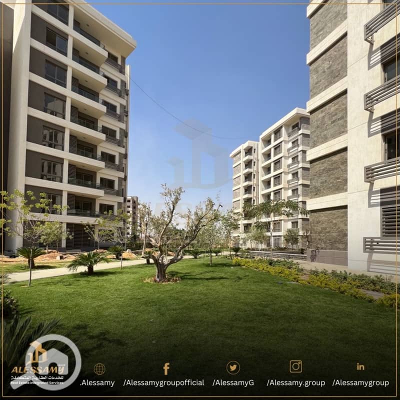 8 WhatsApp Image 2025-03-05 at 15.49. 09 (2) - Copy. jpeg