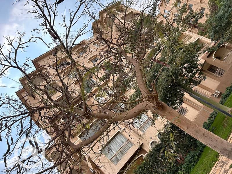 2 WhatsApp Image 2026-01-04 at 1.58. 07 PM. jpeg