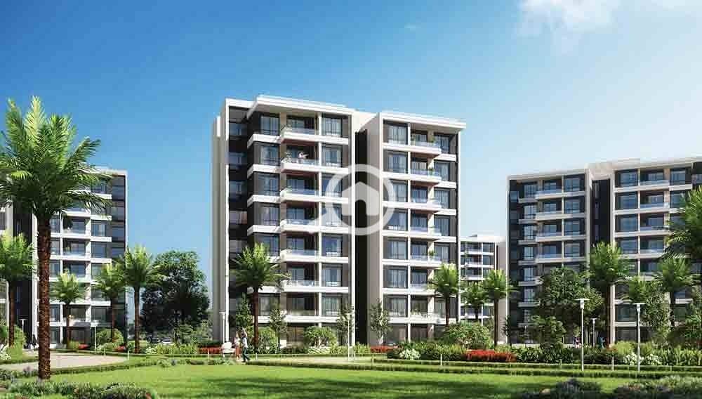 2 WhatsApp Image 2024-09-26 at 4.17. 24 PM (6) - Copy. jpeg