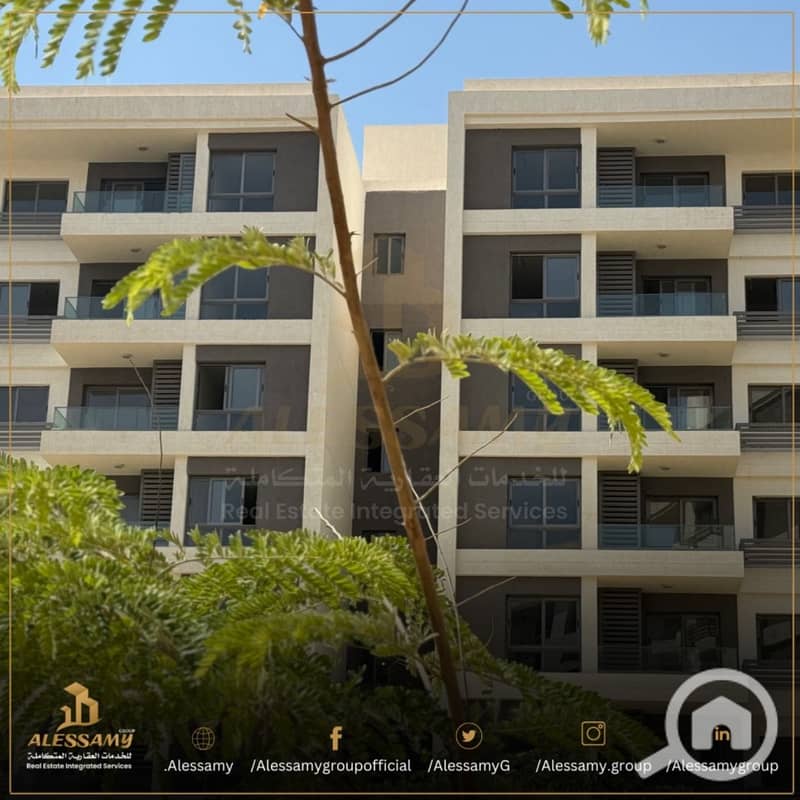 10 WhatsApp Image 2025-03-05 at 15.49. 12 (3) - Copy. jpeg