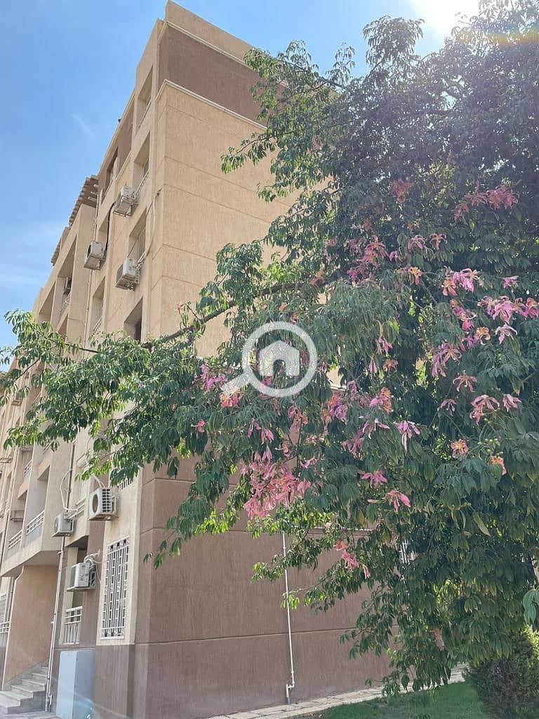 9 WhatsApp Image 2025-12-22 at 2.48. 16 PM (4). jpeg