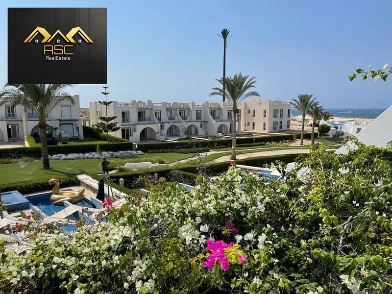 4 520422439_799454066358388_901102867138898647_n. jpg