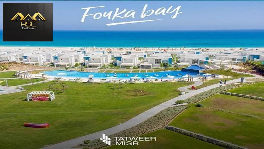 2 4386466-7f265o. jpg