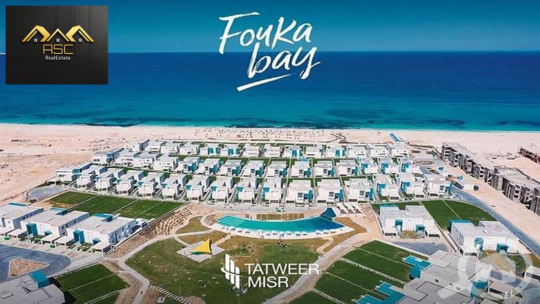 8 12583852-800x600. jpg