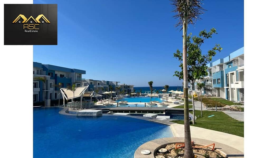 11 455283301_3768985446747329_1029683938087896985_n. jpg