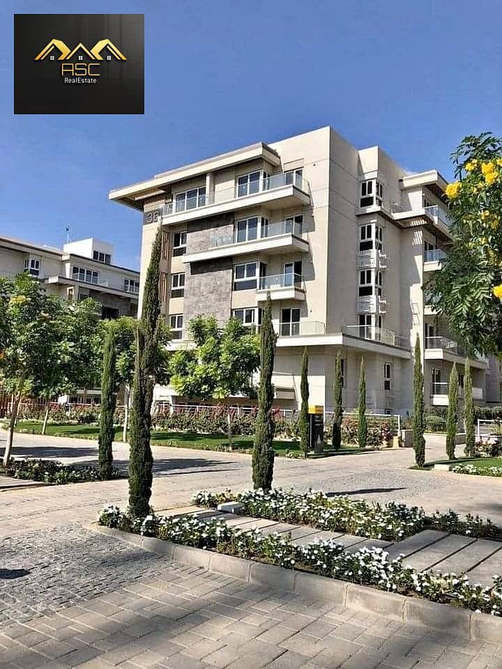 12 583016543_26030721889861882_7684798497599776240_n. jpg