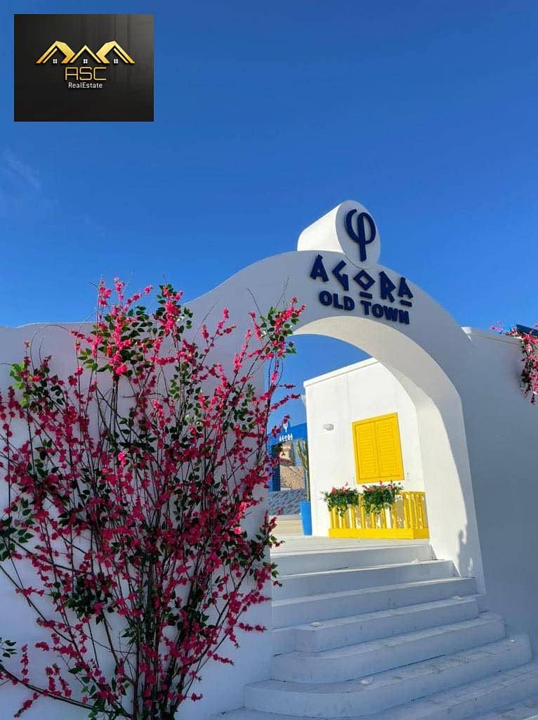 6 2e3230ed-da09-4673-be9d-8dee4bc267e8. jpg