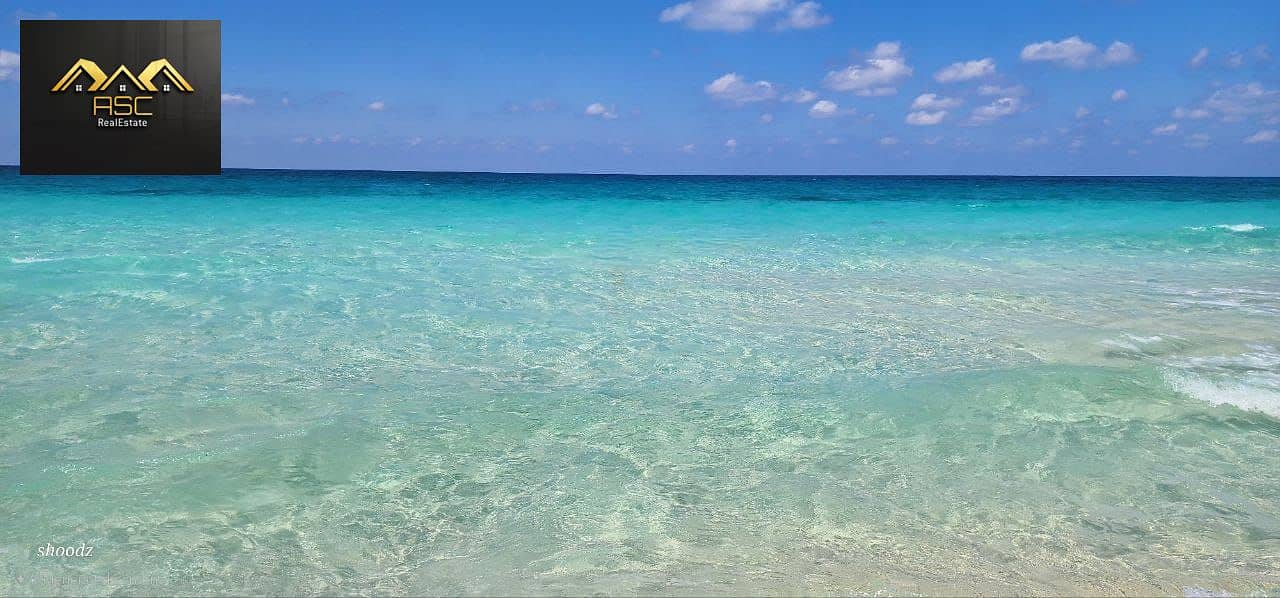 9 16095677-96d8-4576-9ac3-d30bdaea0a03. jpg