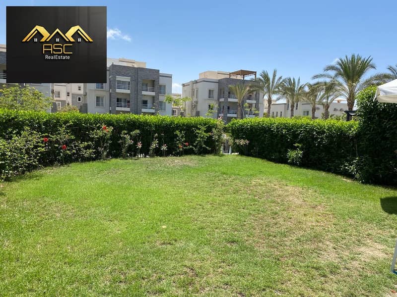 2 333bdad6-d5e3-4bf6-ab82-e71e5ee2ffe2. jpg