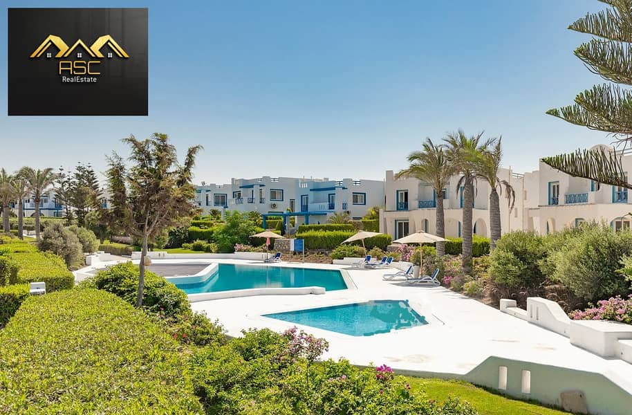 3 83092468_188392895964348_440648949265695. jpg