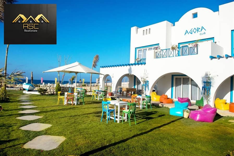 4 21eff49d-b709-4458-a62a-353e65479ff1. jpg