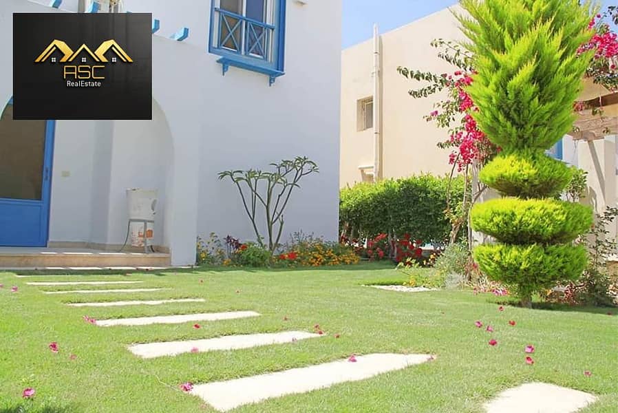 8 106238942_188392919297679_1279706651563968319_n. jpg