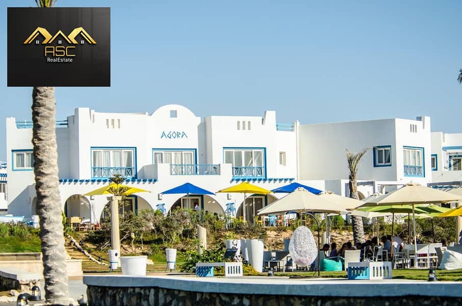 12 d20c9665-0eae-48f1-b2c0-7c3fb98d2914. jpg