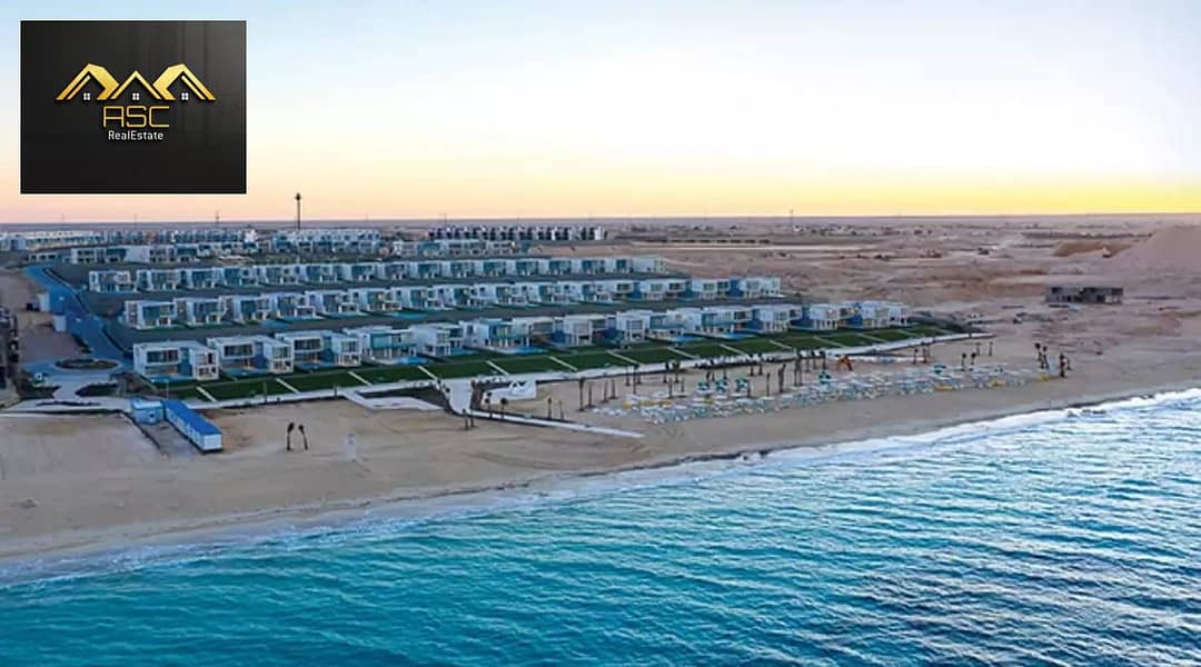 14 6de74c70-a7ca-456a-9c14-79ea6857314e. jpg