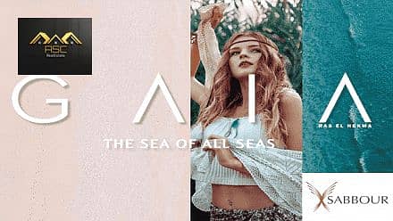 4 gaia_optimized_optimized_optimized_optimized. png