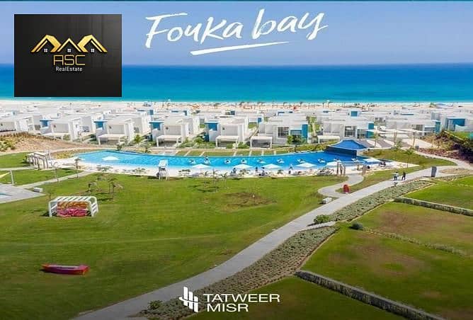 4 4386466-7f265o. jpg