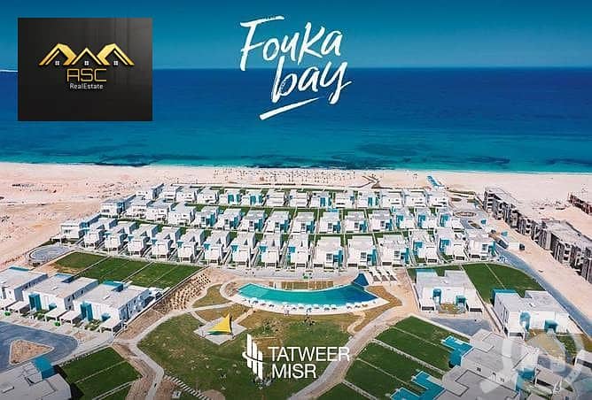 4 12583852-800x600. jpeg