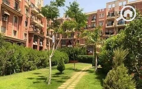 فلیٹ 2 غرفة نوم للايجار في الشيخ زايد، الجيزة - 492371964. jpg