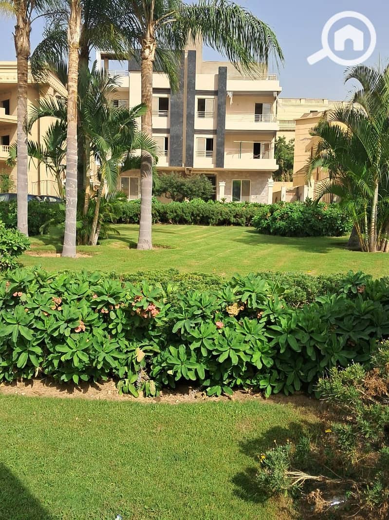 6 WhatsApp Image 2026-01-19 at 10.50. 31 AM. jpeg