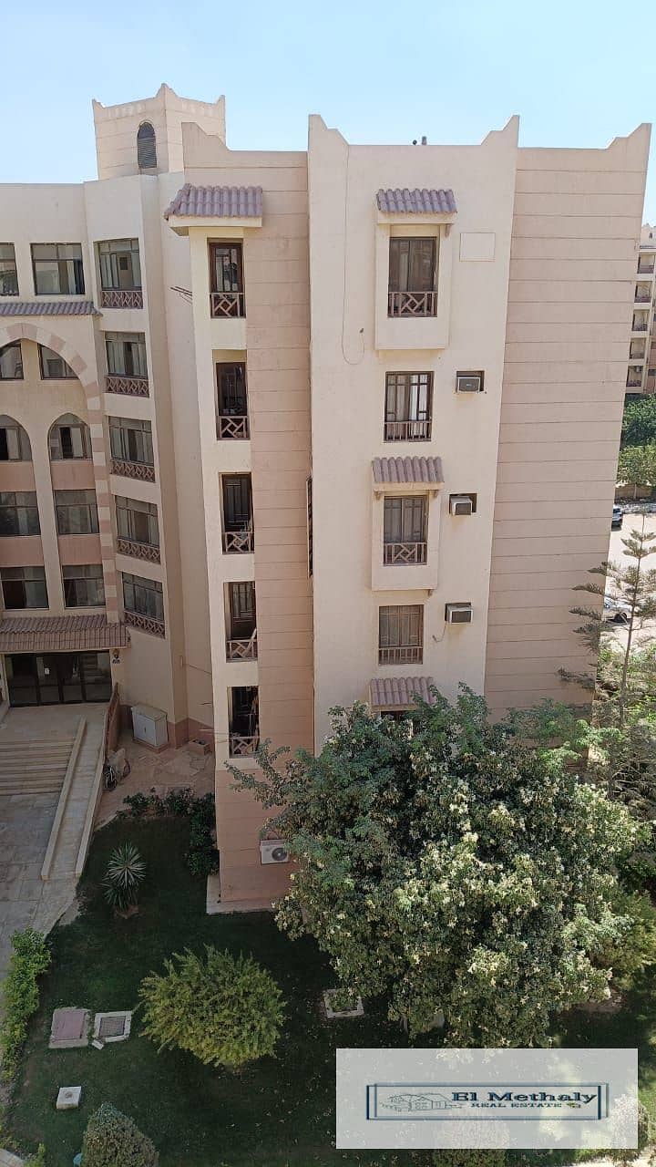 6 2f86065c-f4f0-405b-8de0-3b7f2aeed5e2. jpg