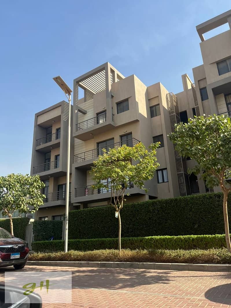 3 6bc0d1c5-2a0a-456b-a794-7644e9f6ca60. jpg