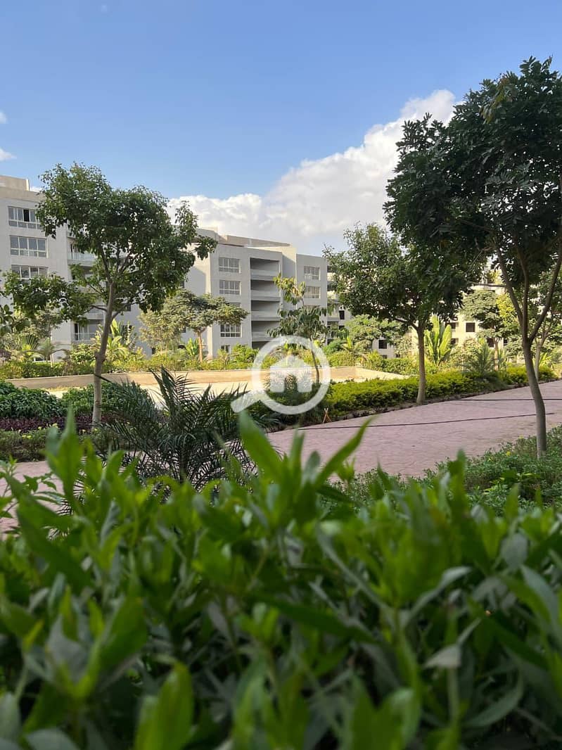 3 WhatsApp Image 2025-11-19 at 5.03. 16 PM (3). jpeg