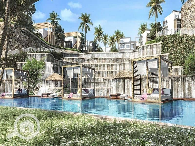 7 bW1H9g8AGCaYPf0jCsAC. jpg