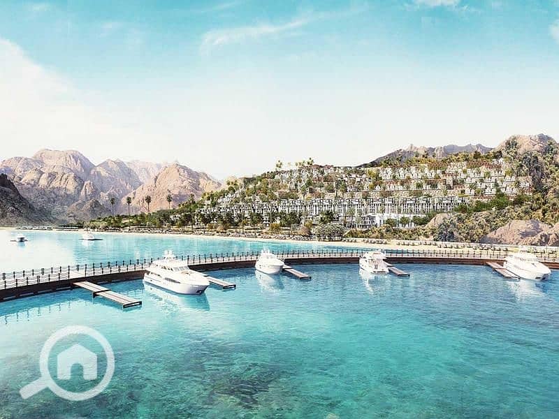 13 vkmdKa69budvXAgAkusG. jpg