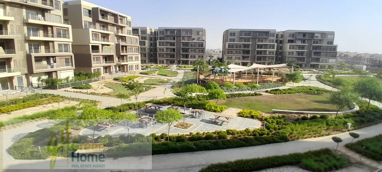 2 20250810_172414. jpg