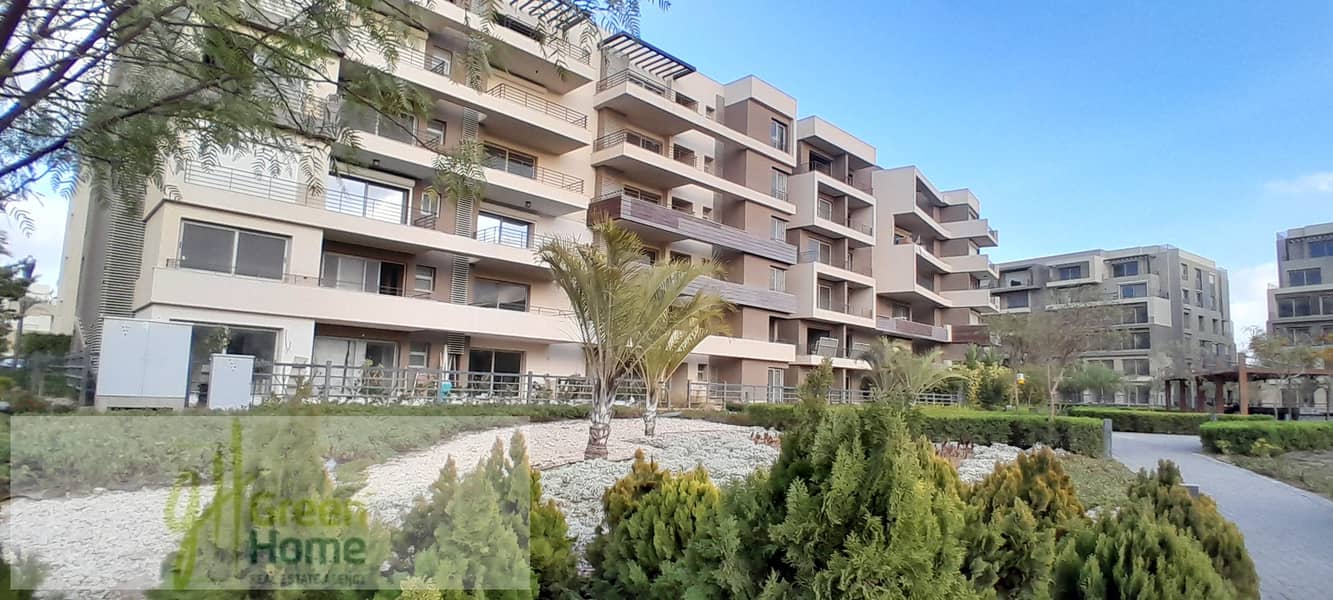 12 20260109_162443. jpg