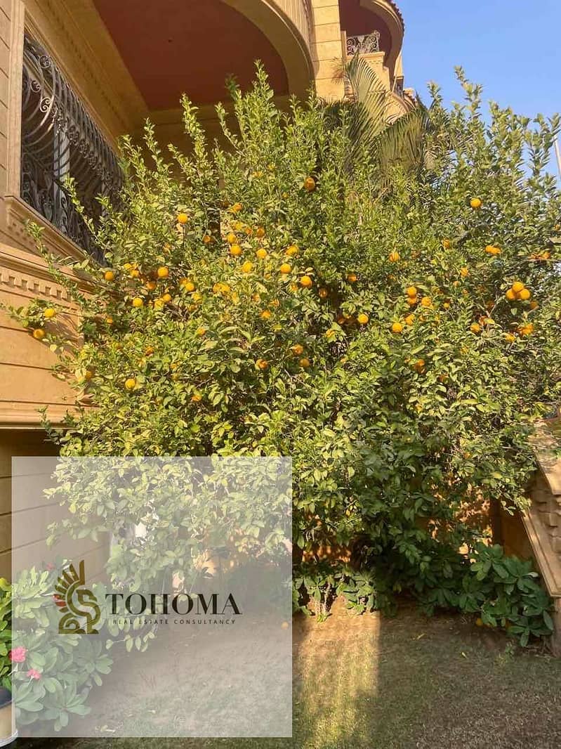 2 b5045eb9-f972-48ae-93a3-7b7375899ba1. jpg