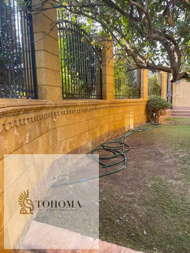 21 fd864df5-e2dc-46a6-ab30-6217e13891c6. jpg