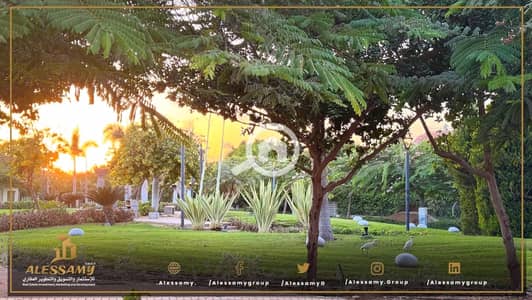 6 Bedroom Villa for Sale in Madinaty, Cairo - WhatsApp Image 2026-01-18 at 12.59. 30 PM (2). jpeg