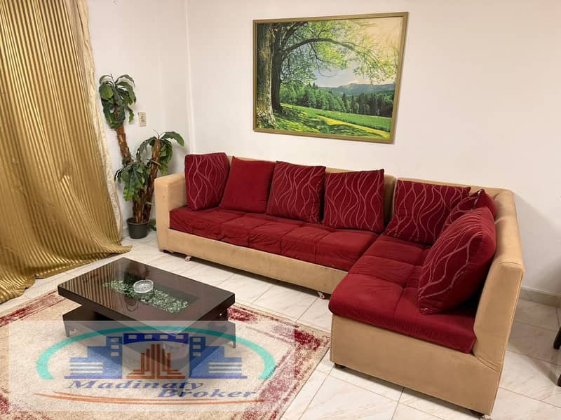 3 WhatsApp Image 2026-01-19 at 2.43. 09 AM (3). jpeg