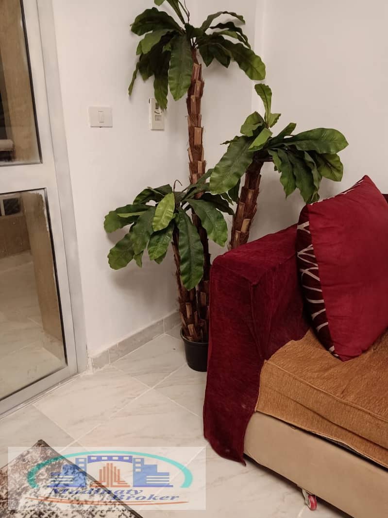 12 WhatsApp Image 2026-01-19 at 2.43. 07 AM (2). jpeg