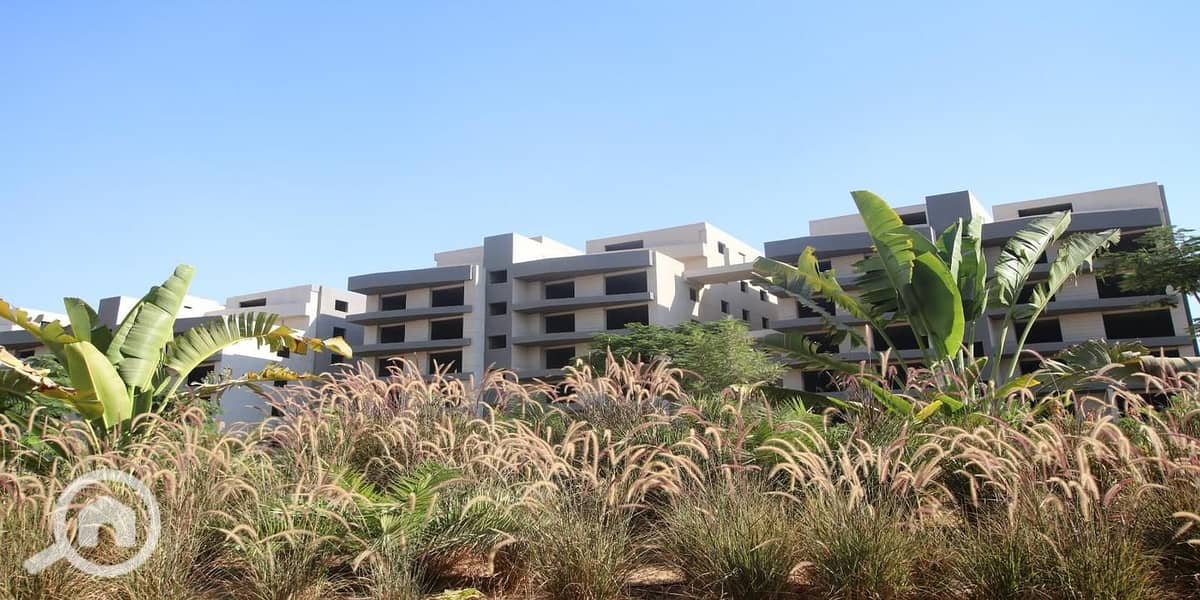 3 37b5d543-66af-4b0b-8d80-abcf28b3d24f. jpeg