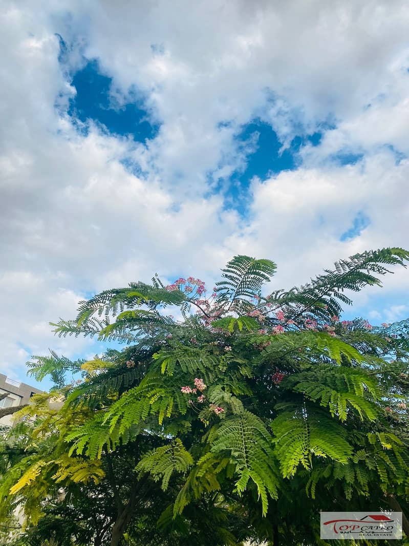 7 IMG-20251106-WA0268. jpg