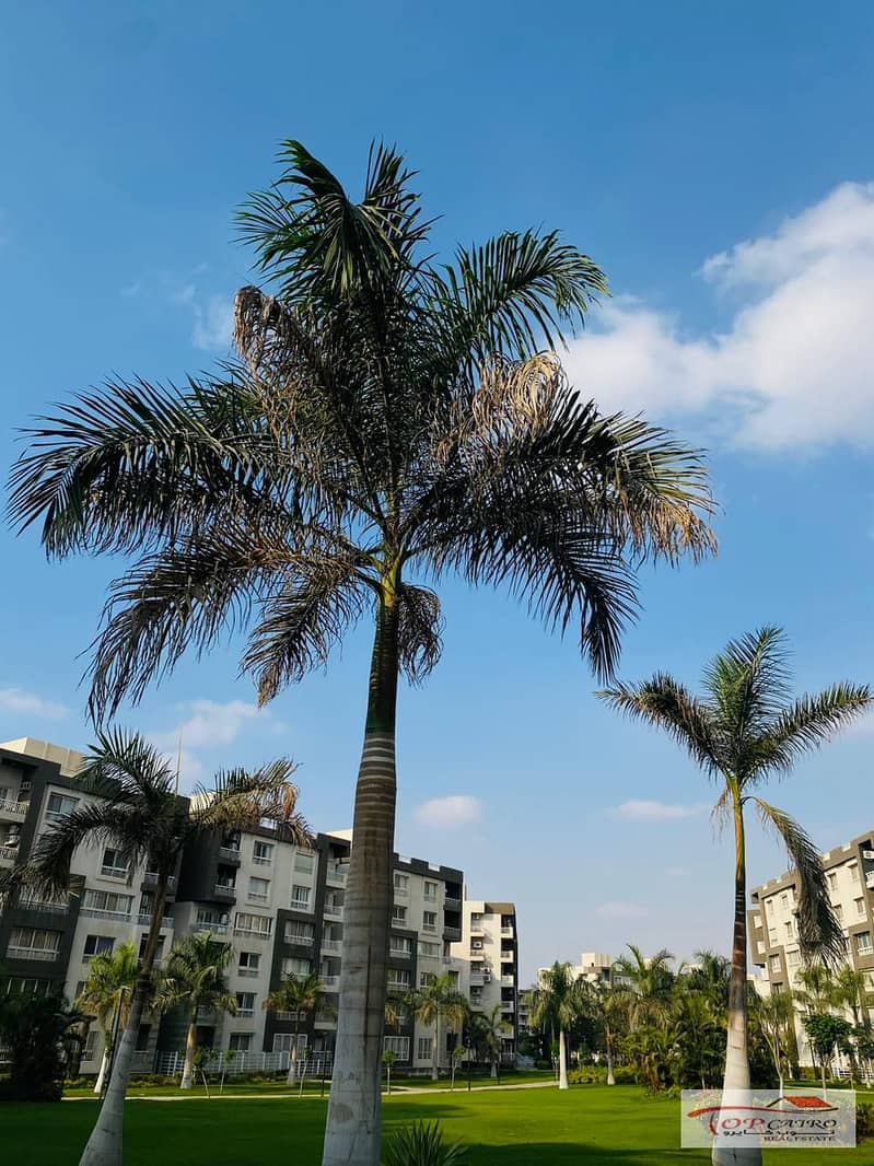 11 IMG-20251111-WA0317. jpg